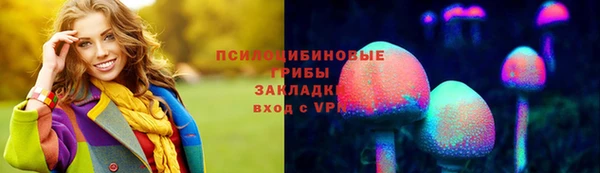 ПСИЛОЦИБИНОВЫЕ ГРИБЫ Алексеевка