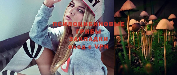 mix Алексин