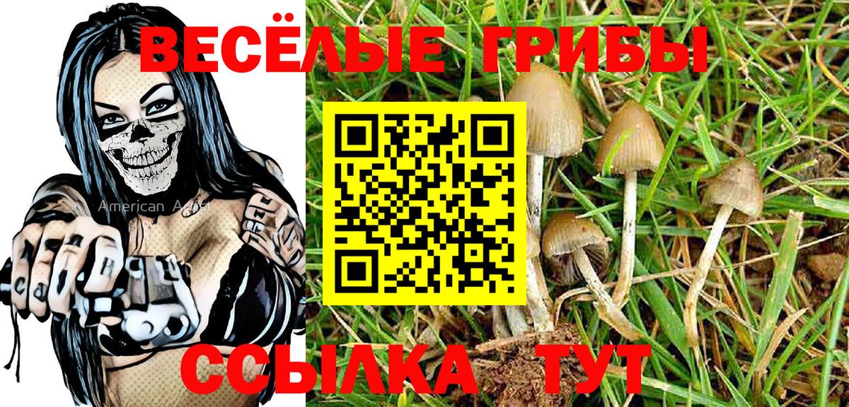 Галлюциногенные грибы Cubensis Севастополь