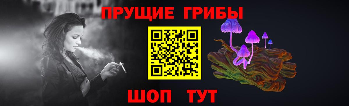 Севастополь  Псилоцибиновые грибы GOLDEN TEACHER  где продают наркотики  Вход с VPN 